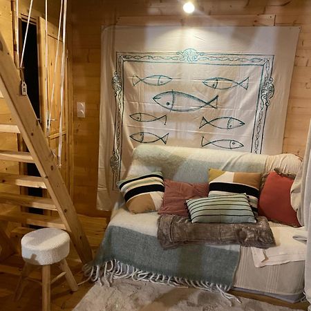 Maison En Bois 1 Chambre 4 Couchages Type Tiny House Granville Buitenkant foto