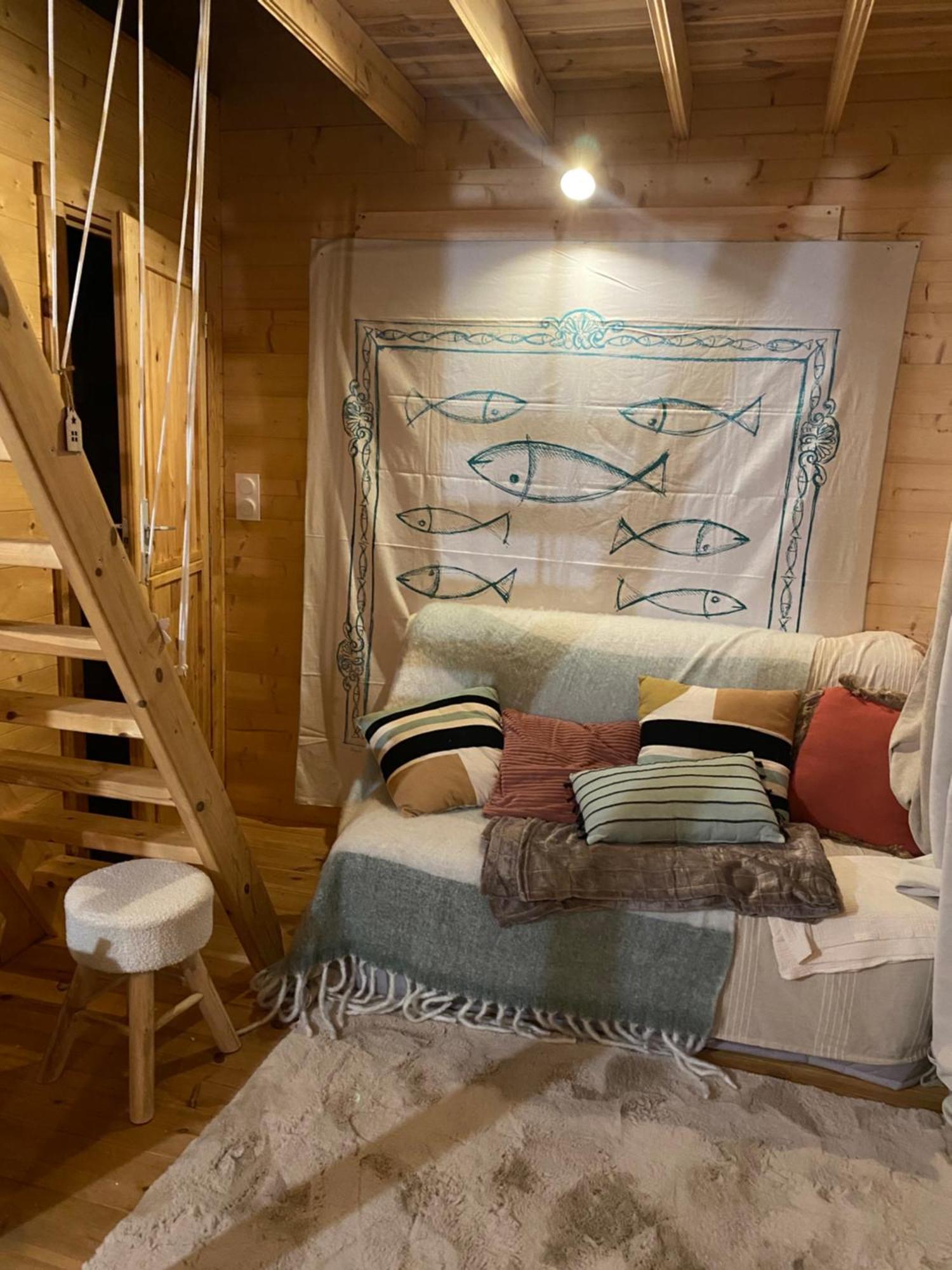 Maison En Bois 1 Chambre 4 Couchages Type Tiny House Granville Buitenkant foto